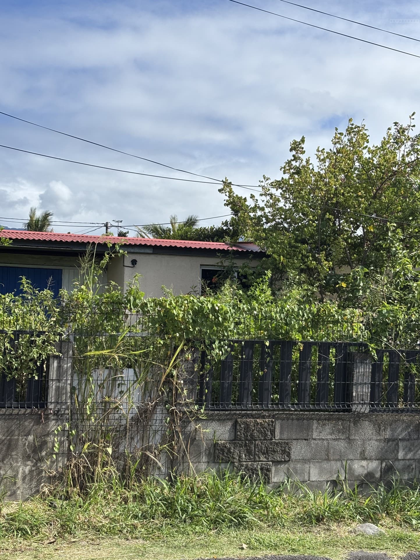 Maison à rénover - T5 - Ravine Creuse (St-André)