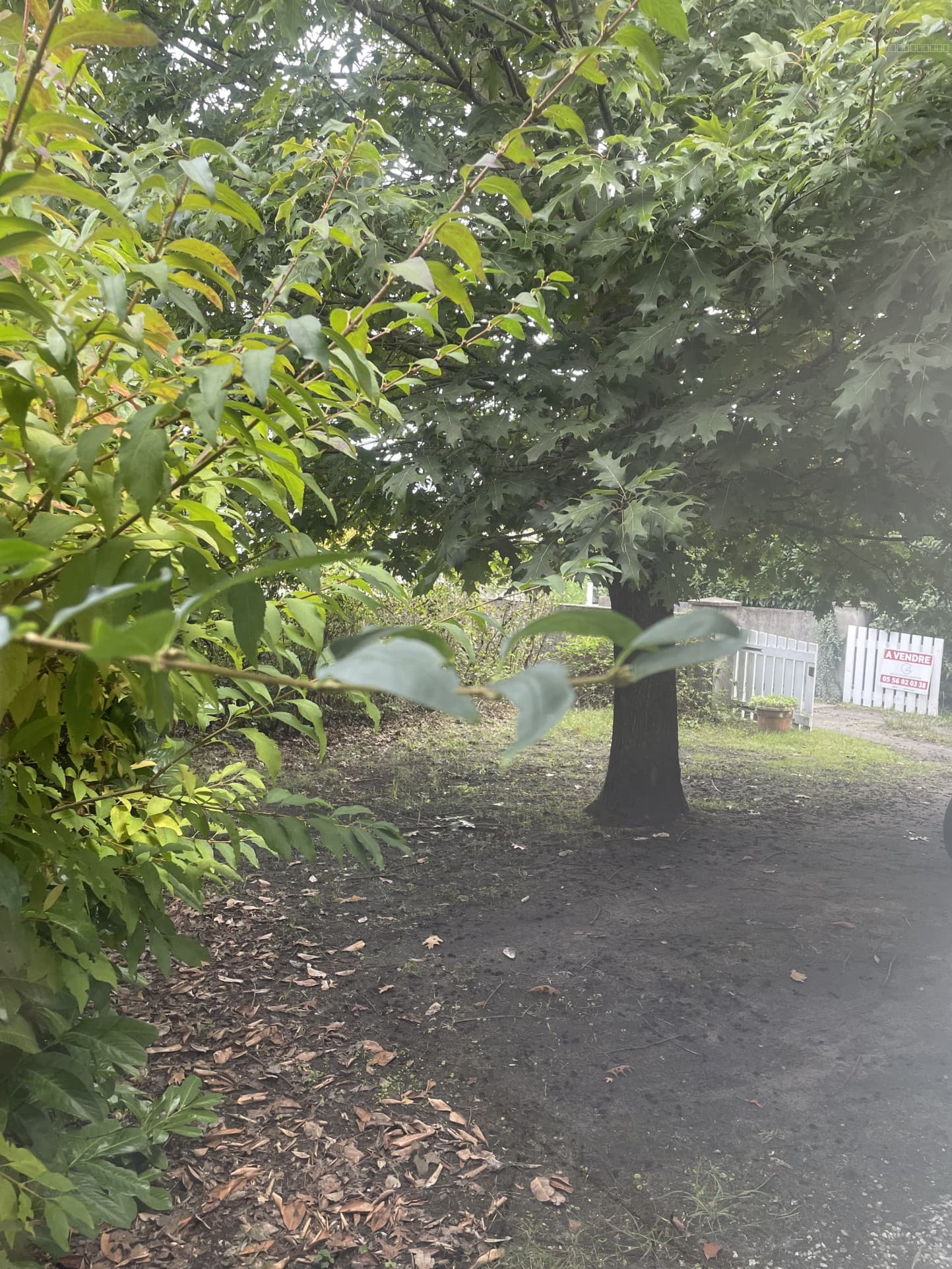 EYSINES MAISON 90 M2 AVEC GRAND JARDIN de 700 M2