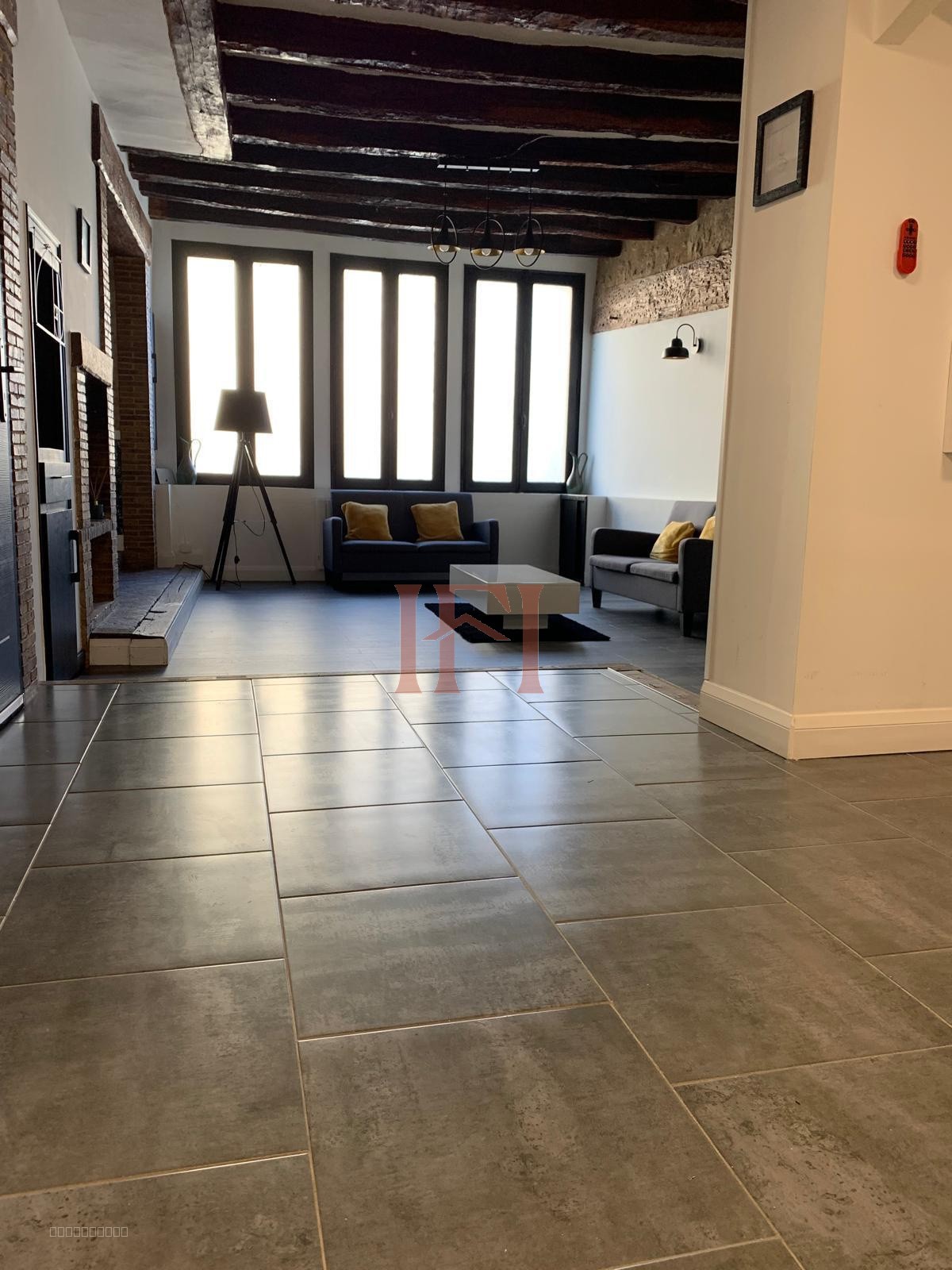 ENSEMBLE IMMOBILIER DE CARACTERE - A FORT POTENTIEL, SECTEUR LUNAY — photo 4