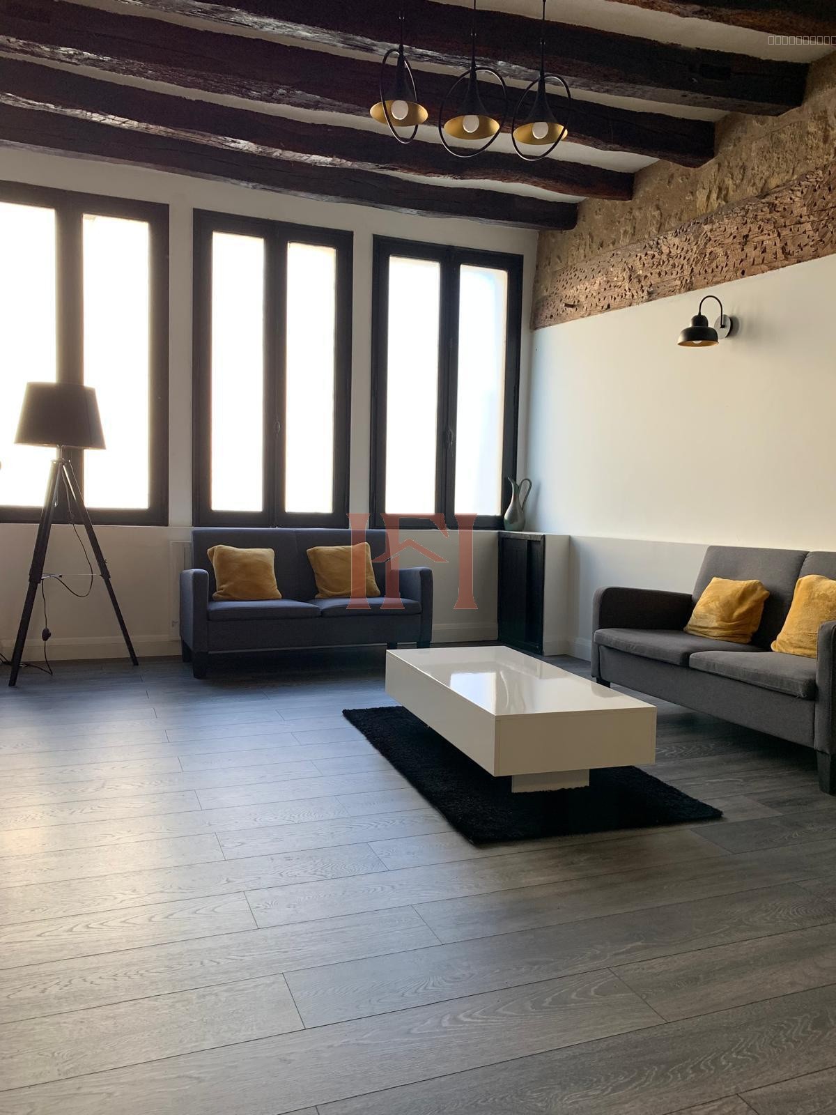 ENSEMBLE IMMOBILIER DE CARACTERE - A FORT POTENTIEL, SECTEUR LUNAY — photo 3