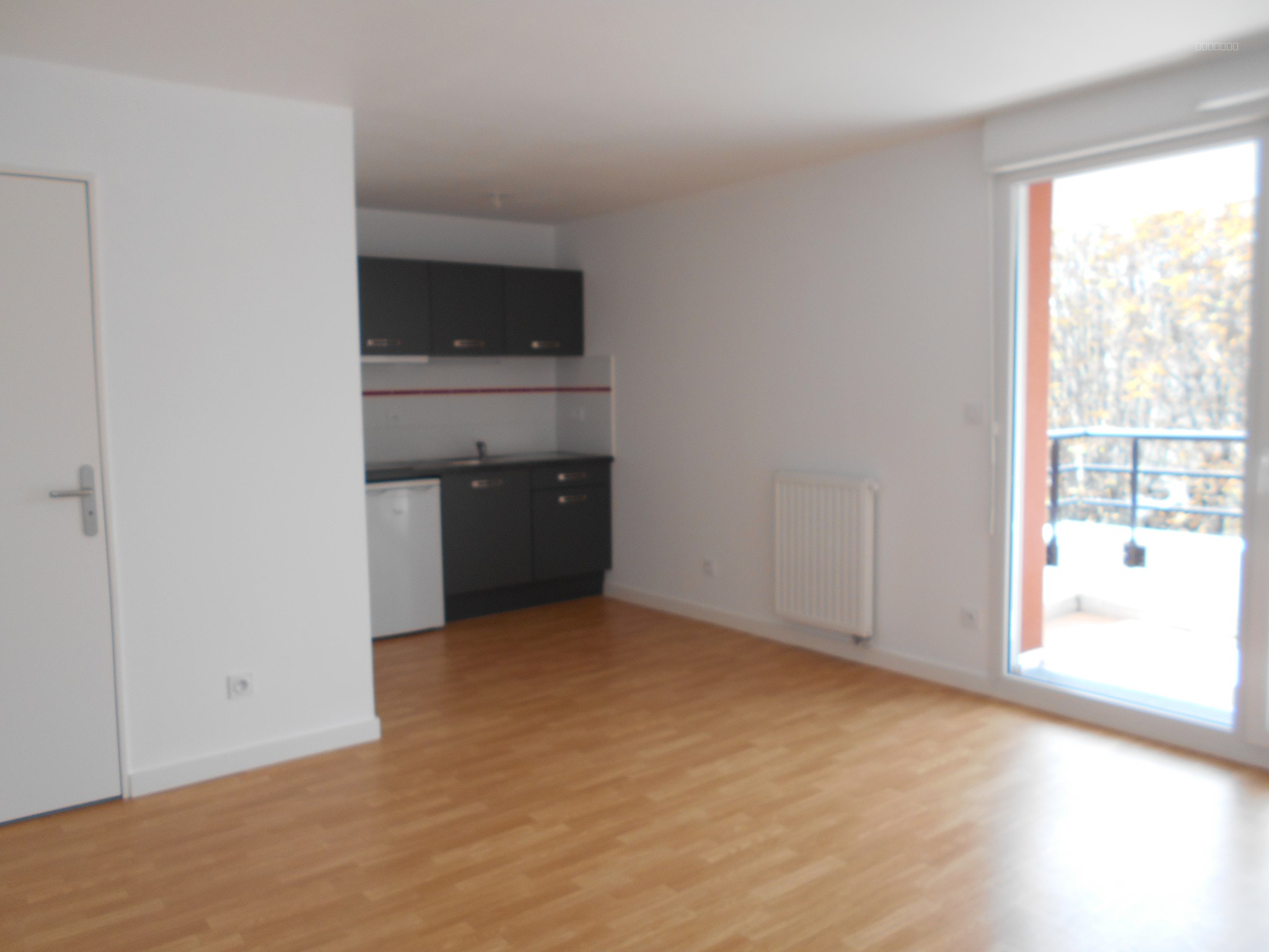 Beau T2 rénové de 29 m2 avec balcon et belle vue dégagée (OFFRE ACCEPTÉE) — photo 1