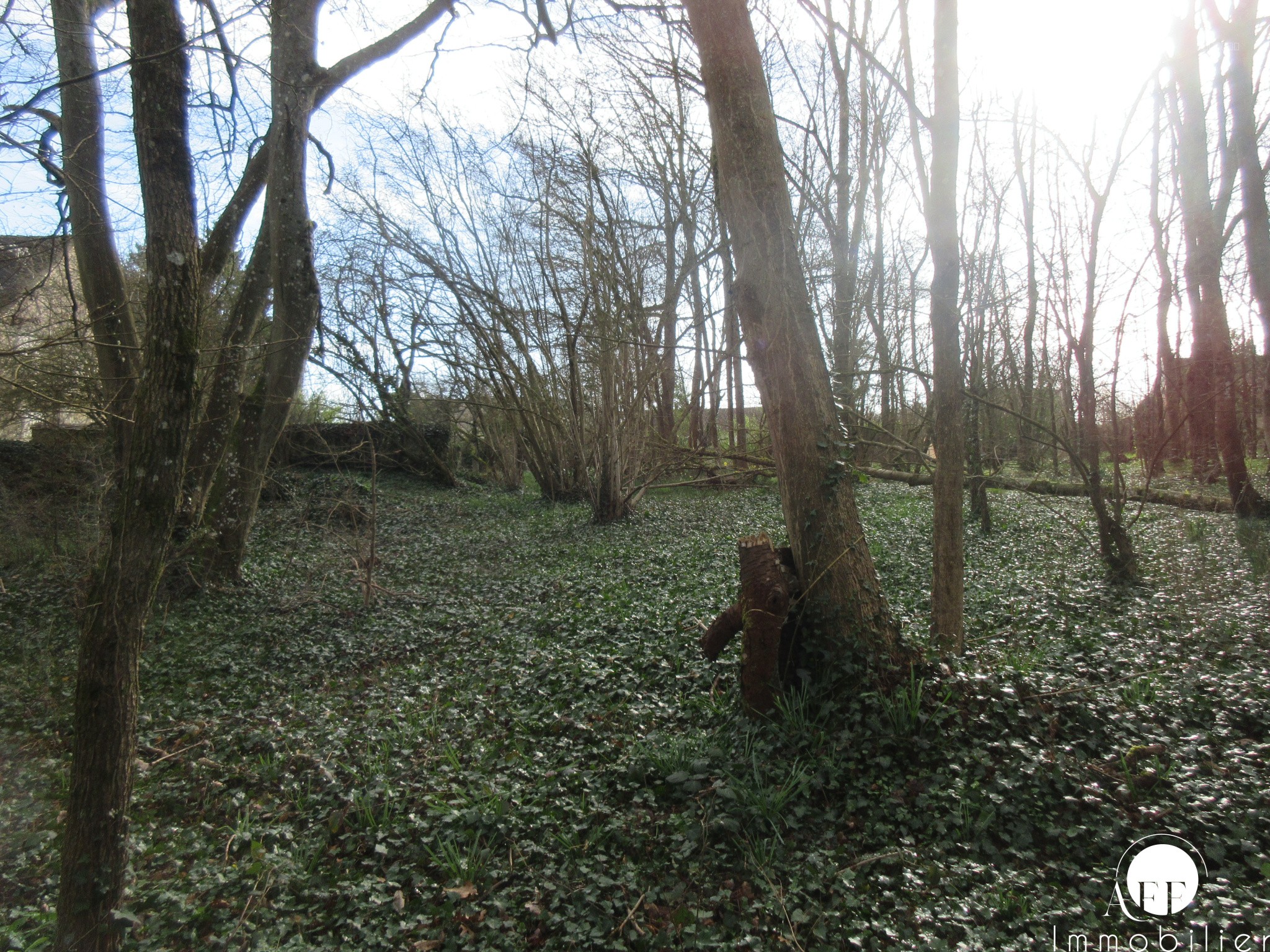 Terrain à Bâtir de 3102 m2 - Saint-Siméon — photo 5