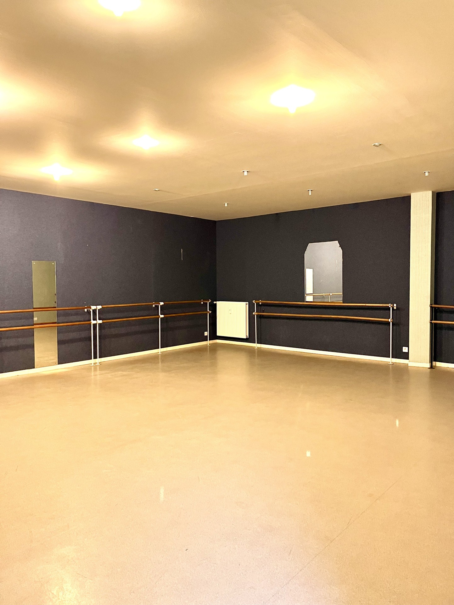 Bien immobilier à louer à Troyes, 500 m² – photo 2 sur 8