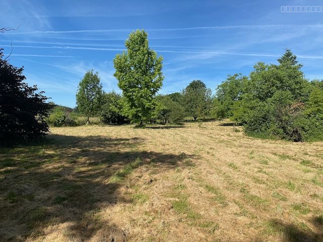 Terrain à vendre à Bourg le comte, 4 917 m² – photo 1 sur 20