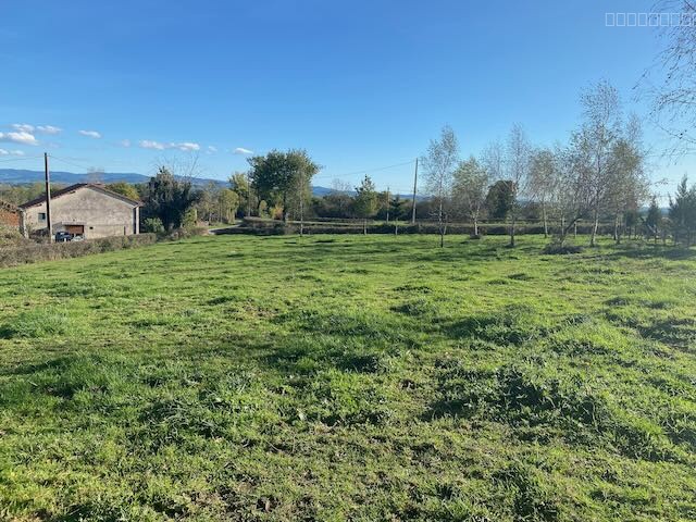 Terrain constructible à vendre à St bonnet de cray, 2 695 m² – photo 3 sur 11