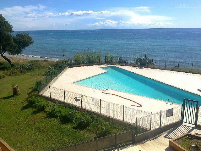 Superbe Studio avec Vue sur Mer à Santa-Lucia-di-Moriani avec Piscine vue mers — photo 3