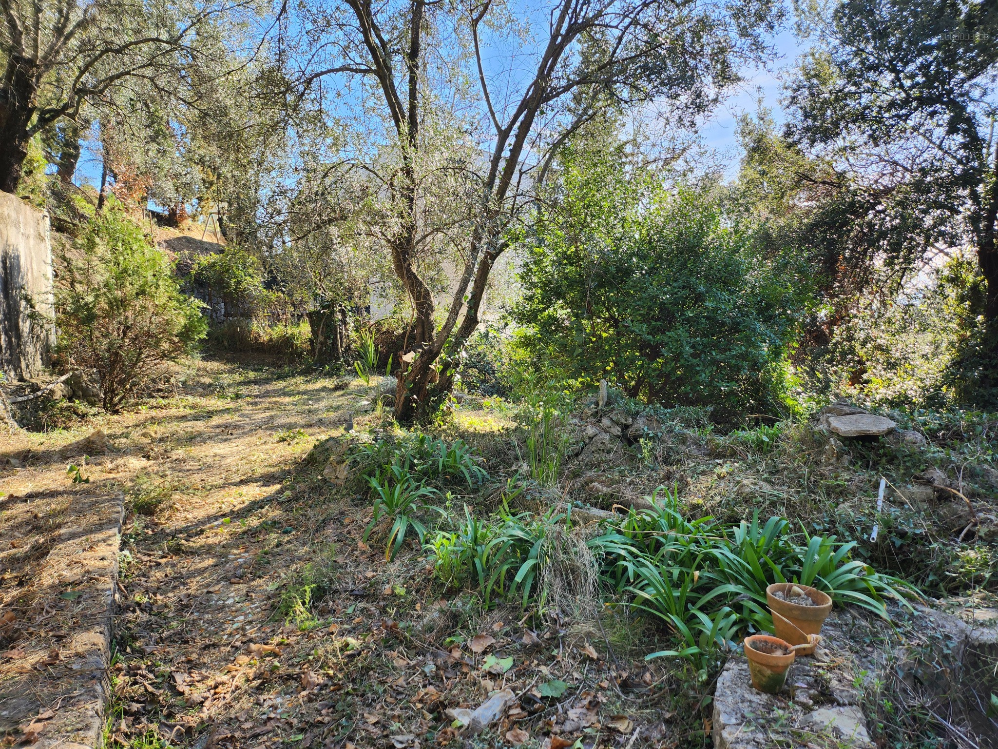 Bien immobilier à vendre à St blaise, 350 m² – photo 1 sur 7