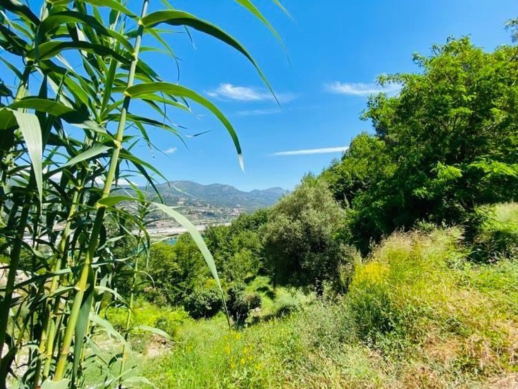 Bien immobilier à vendre à Le broc, 500 m² – photo 2 sur 3