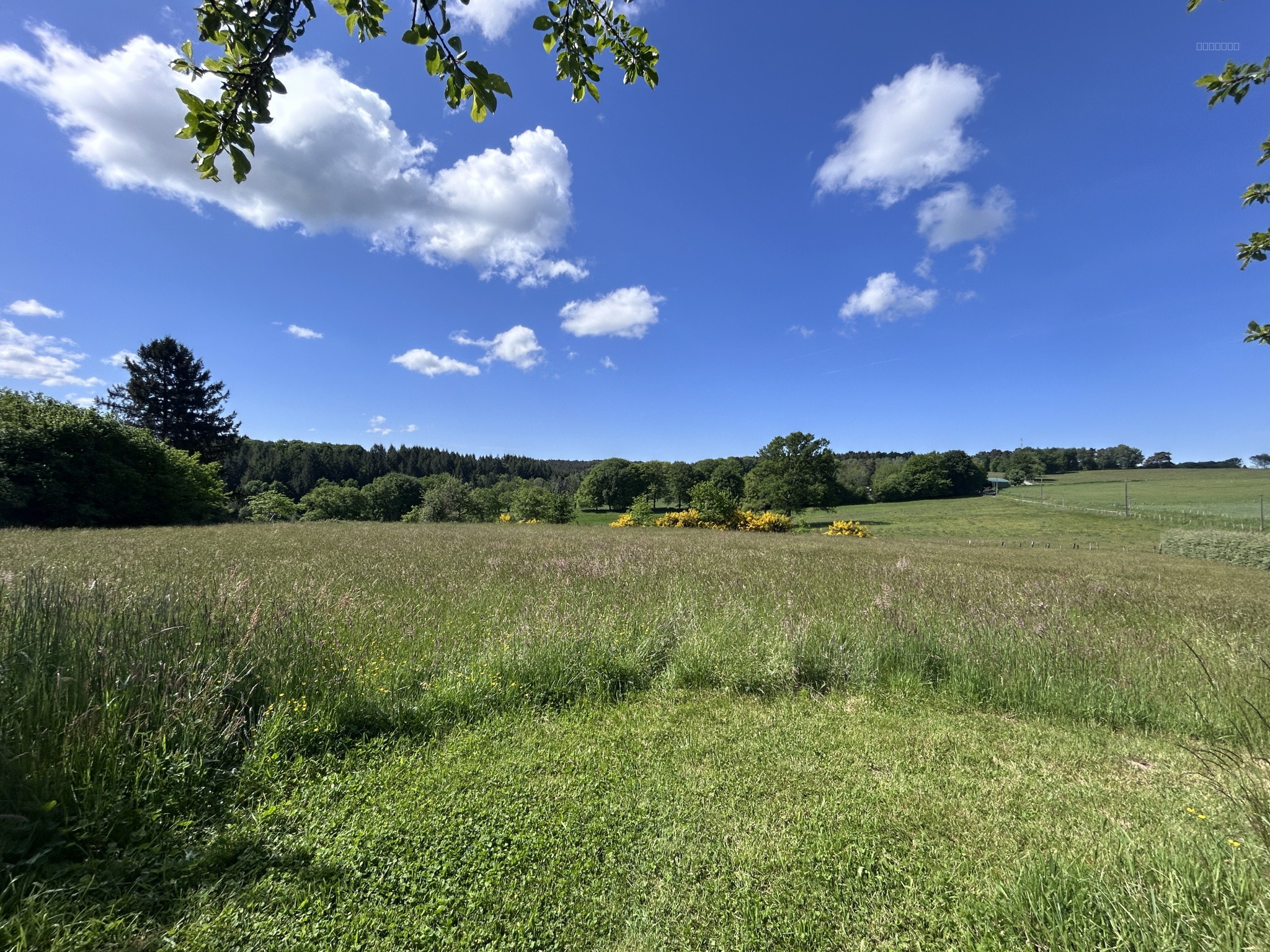 Bien immobilier à vendre à Mercoeur, 2 451 m² – photo 3 sur 3