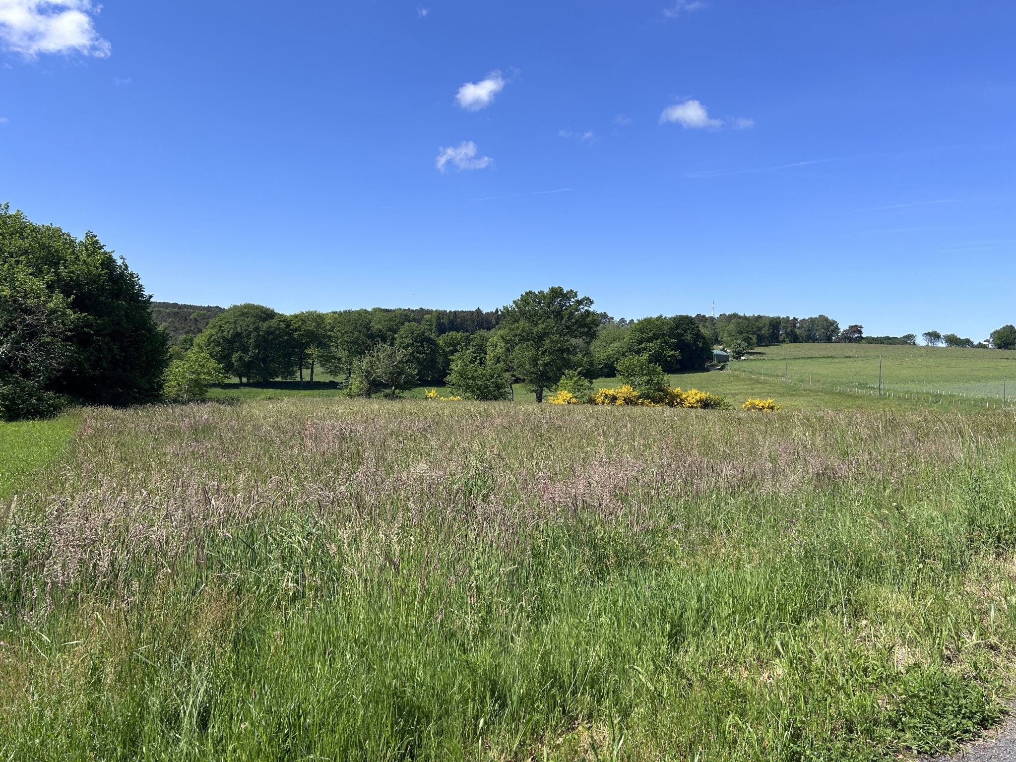 Bien immobilier à vendre à Mercoeur, 2 451 m² – photo 1 sur 3
