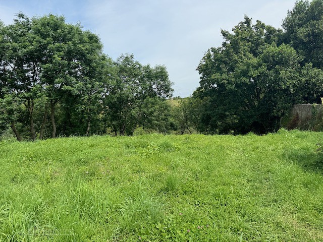Terrain à vendre à Mareuil sur lay dissais, 1 133 m² – photo 2 sur 7