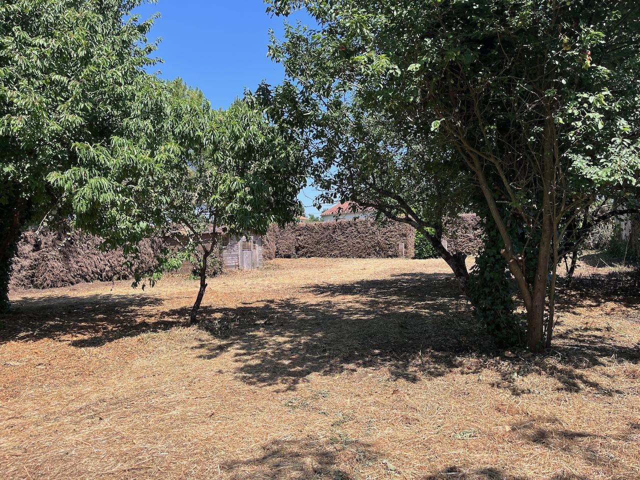 Bien immobilier à vendre à Ste hermine, 797 m² – photo 2 sur 7