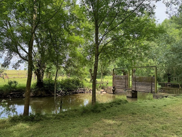 Terrain à vendre à Ste hermine, 3 255 m² – photo 3 sur 5