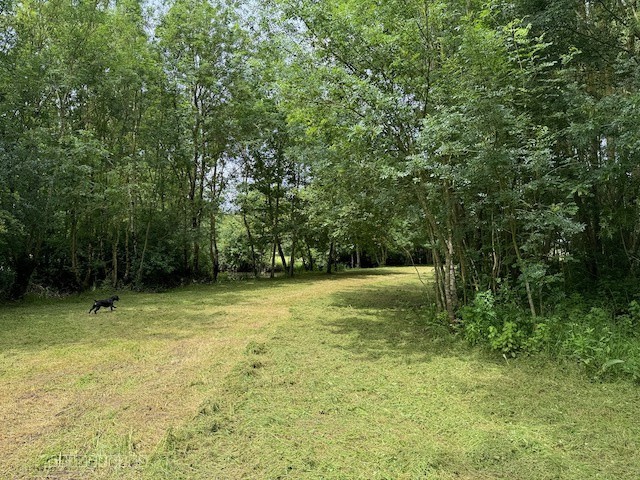 Terrain à vendre à Ste hermine, 3 255 m² – photo 2 sur 5