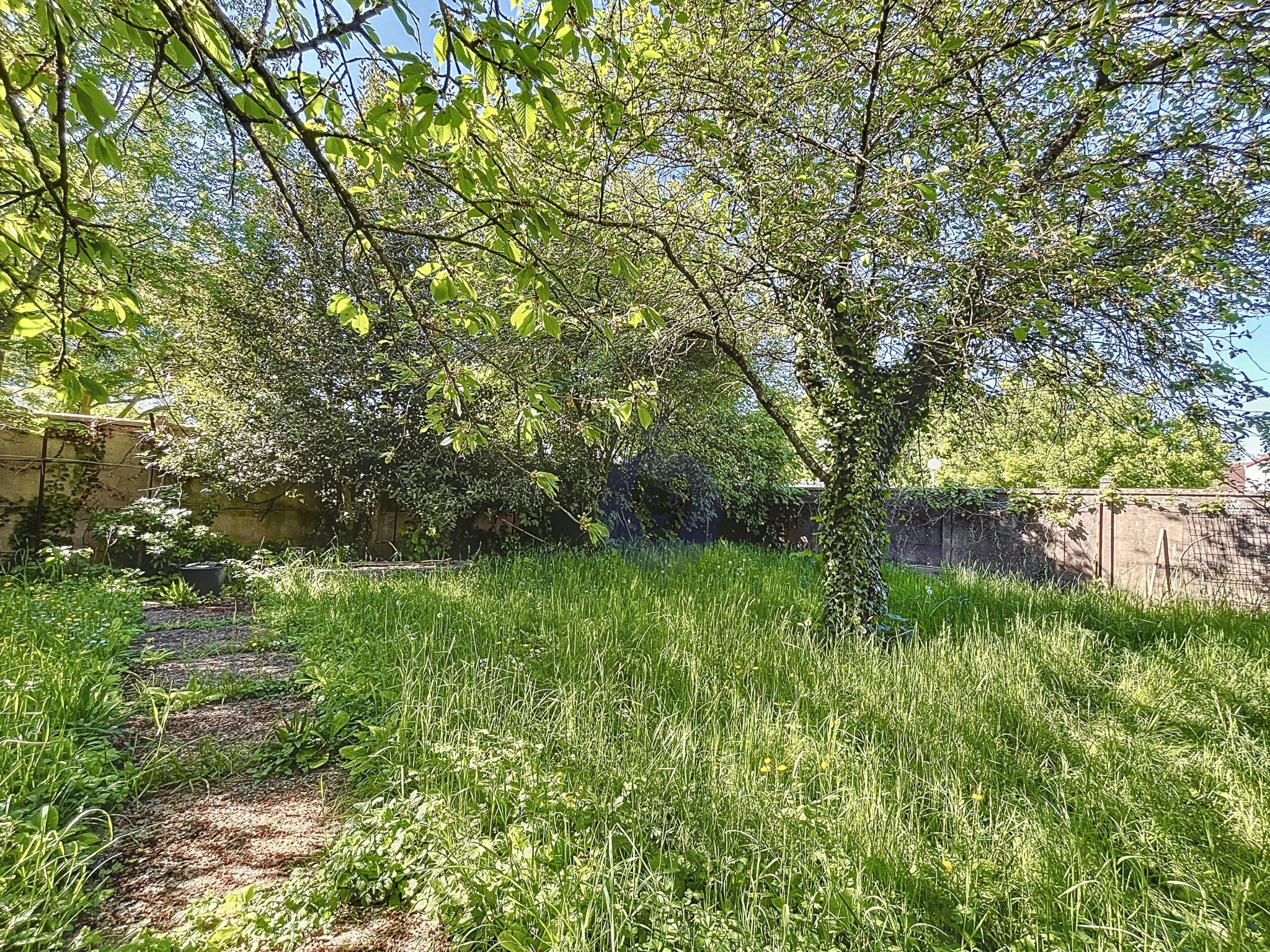 Maison 216m2 — photo 29
