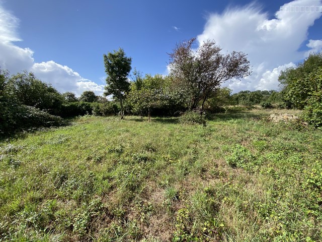 Terrain à vendre à Benet, 961 m² – photo 3 sur 4