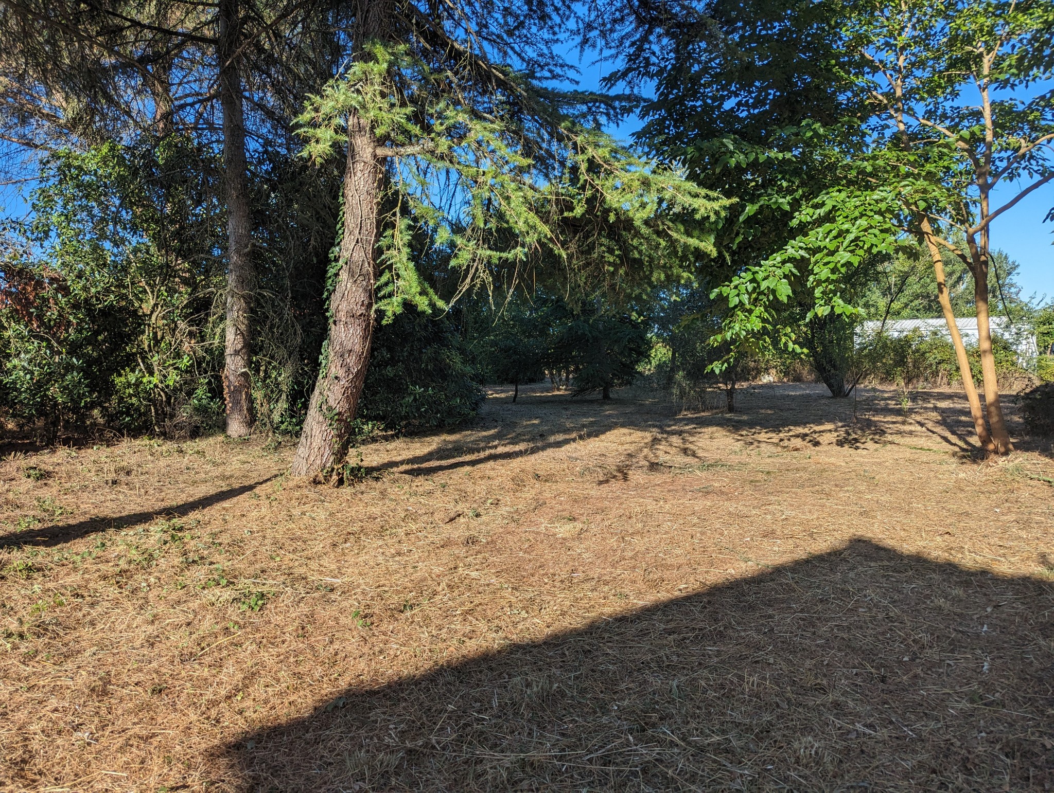 Situé au calme, au fond d'une impasse — photo 3
