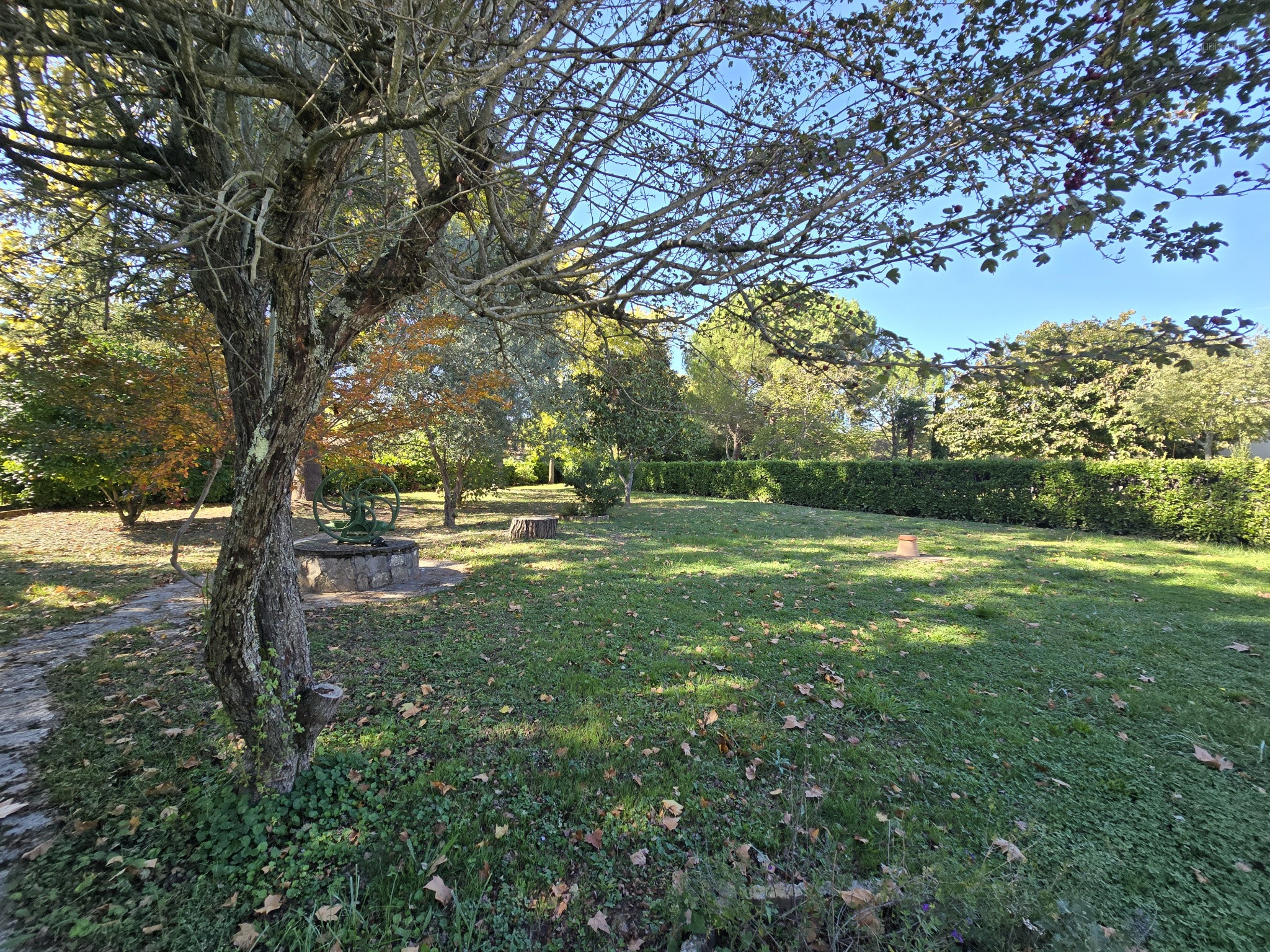 Maison à vendre à Albi, 34,2 m², 4 pièces – photo 3 sur 11