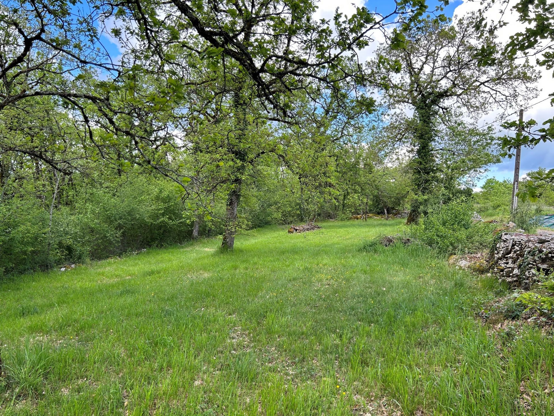 SARRAZAC : terrain de 2 530 m2 à vendre boisé avec CU — photo 4