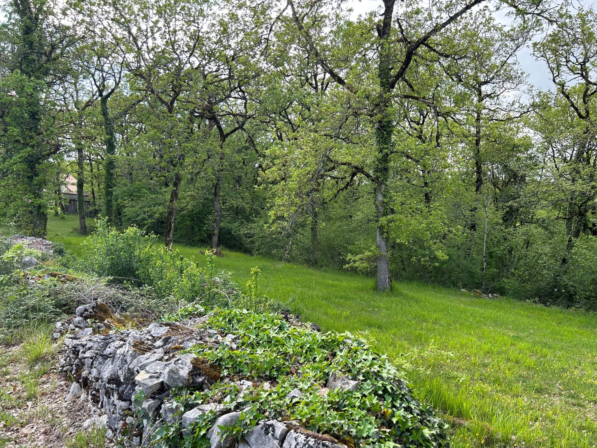 SARRAZAC : terrain de 2 530 m2 à vendre boisé avec CU — photo 3