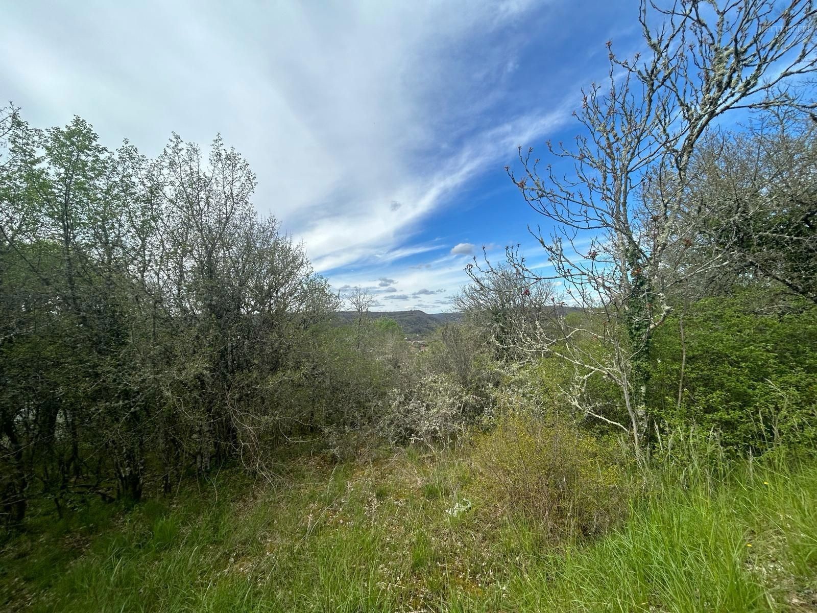 Terrain de 3 132 m2 avec vue Souillac 46 — photo 1