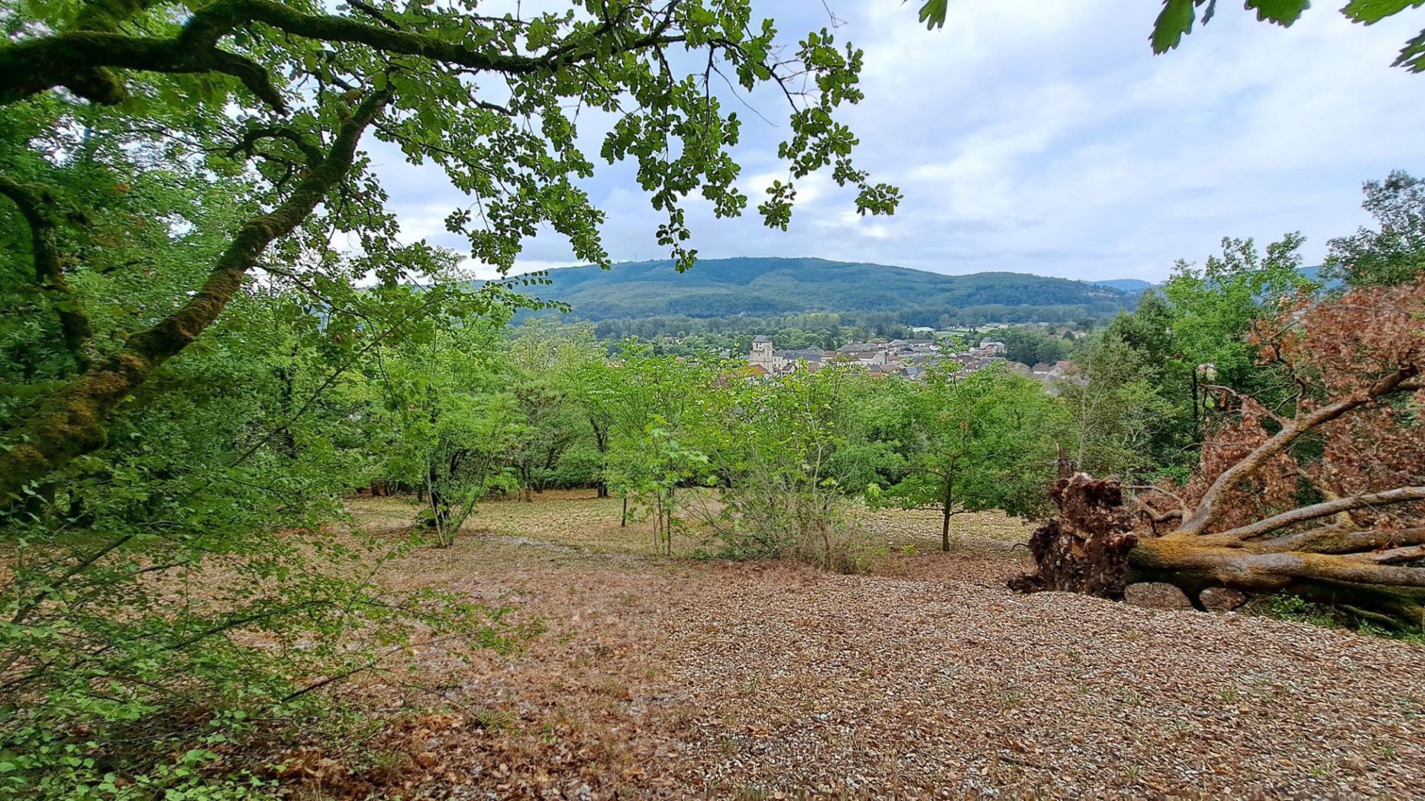 TERRAIN CONSTRUCTIBLE AVEC VUE SOUILLAC (46200) — photo 1