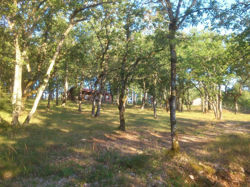 PROPRIÉTÉ TOURISTIQUE à LOUPIAC 46 — photo 13