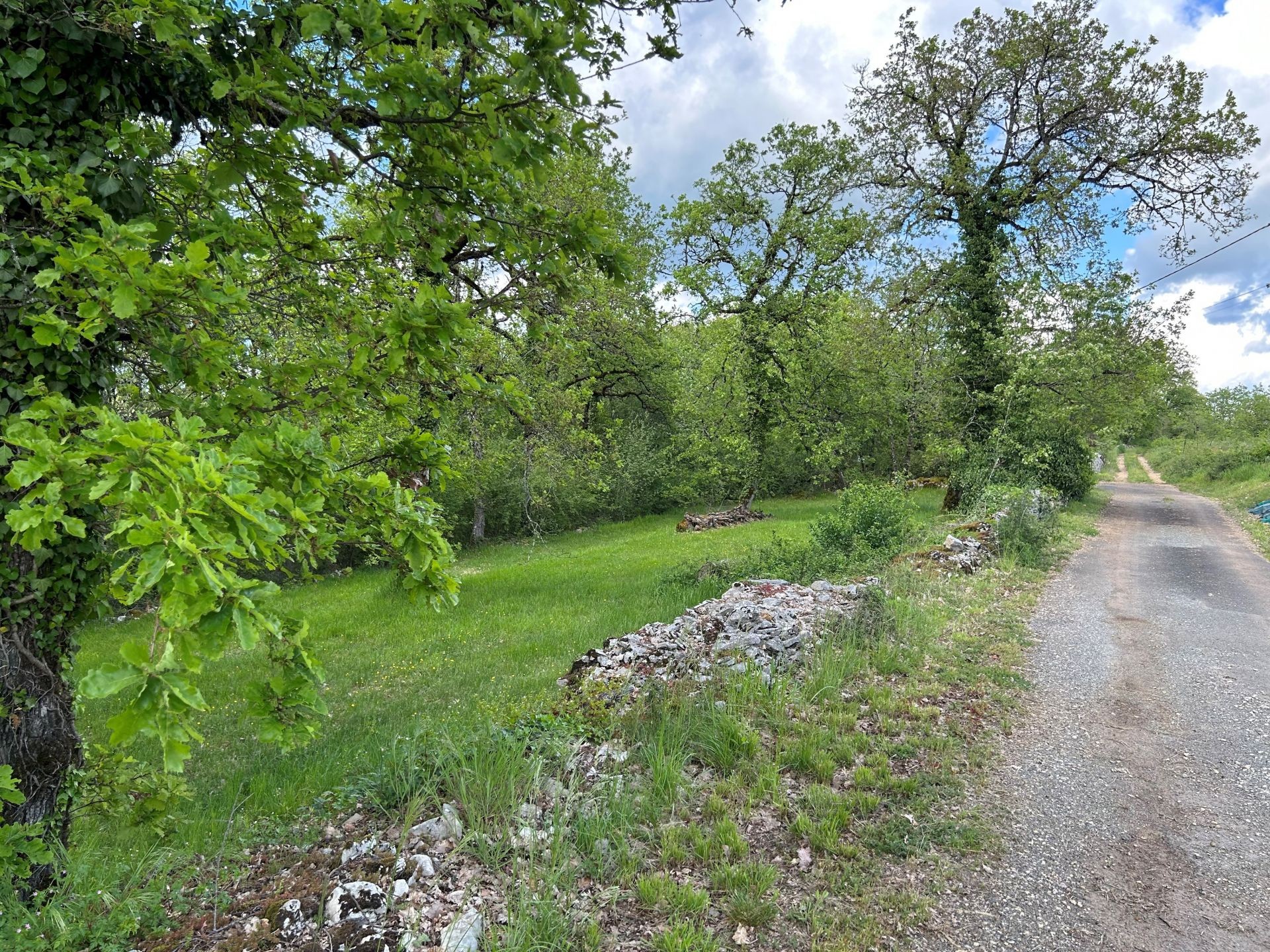 SARRAZAC : terrain de 2 530 m2 à vendre boisé avec CU — photo 1