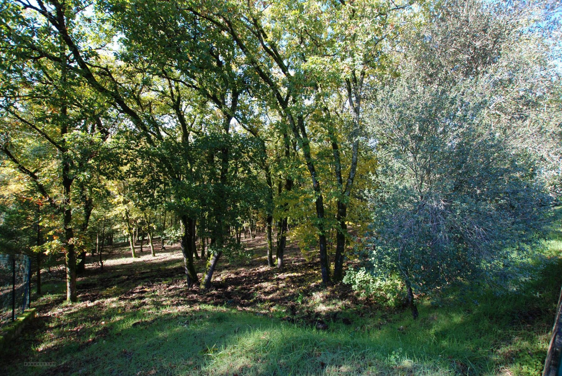 TERRAIN CONSTRUCTIBLE AVEC VUE SOUILLAC (46200) — photo 6
