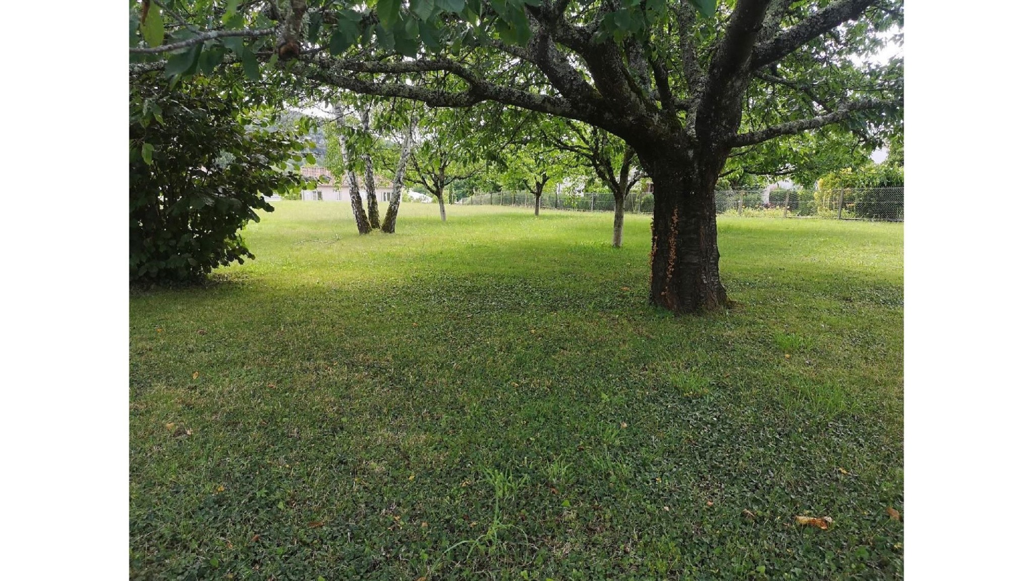 Terrain de 1 660 m2 avec CU Souillac — photo 3
