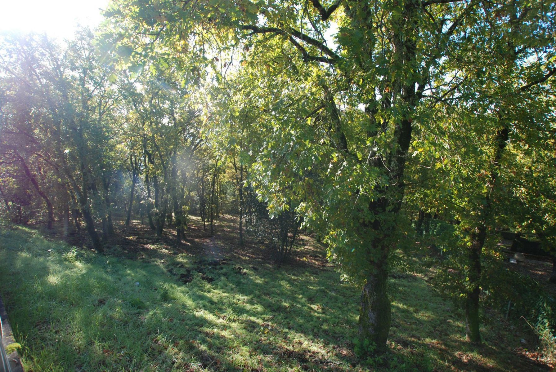 TERRAIN CONSTRUCTIBLE AVEC VUE SOUILLAC (46200) — photo 5