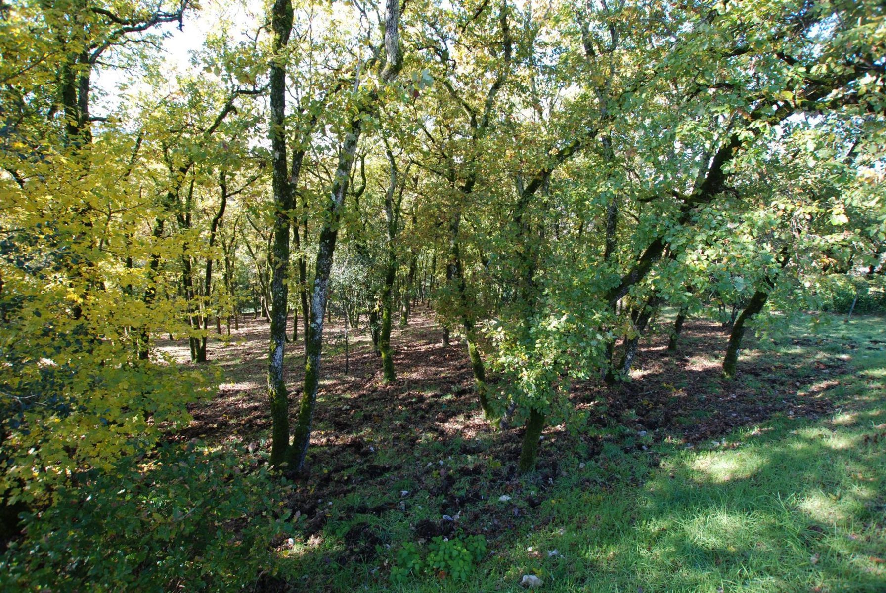 TERRAIN CONSTRUCTIBLE AVEC VUE SOUILLAC (46200) — photo 7