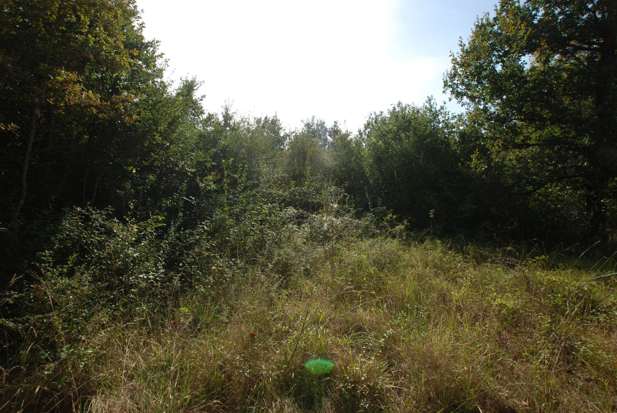 SOUILLAC 46200 : terrain (4 476 m2) à vendre — photo 2