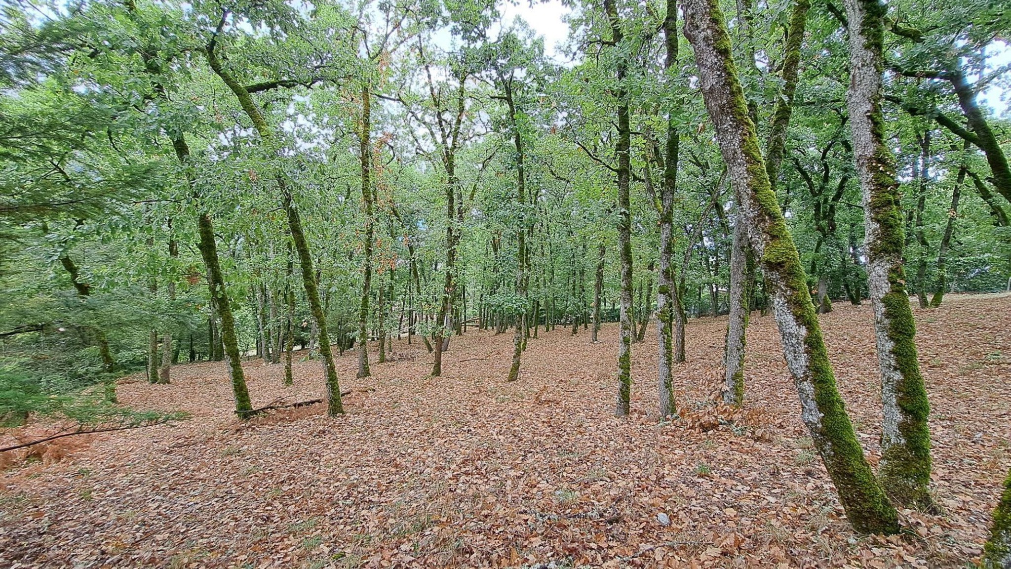TERRAIN CONSTRUCTIBLE AVEC VUE SOUILLAC (46200) — photo 4