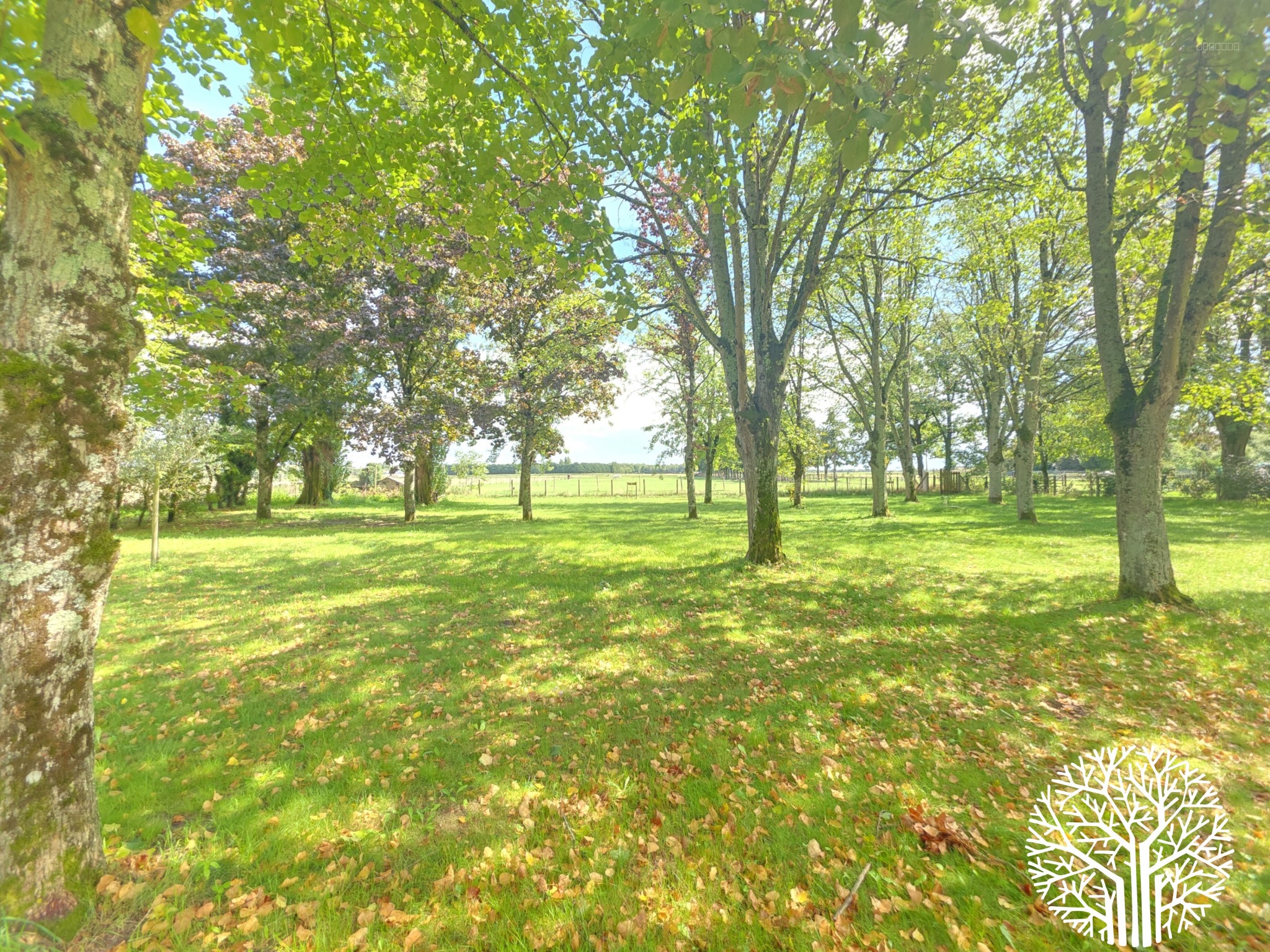 LUXUEUSE LONGÈRE DU XVIIIe SIÈCLE - 1 HECTARE AUX PORTES DE FONTAINEBLEAU — photo 19
