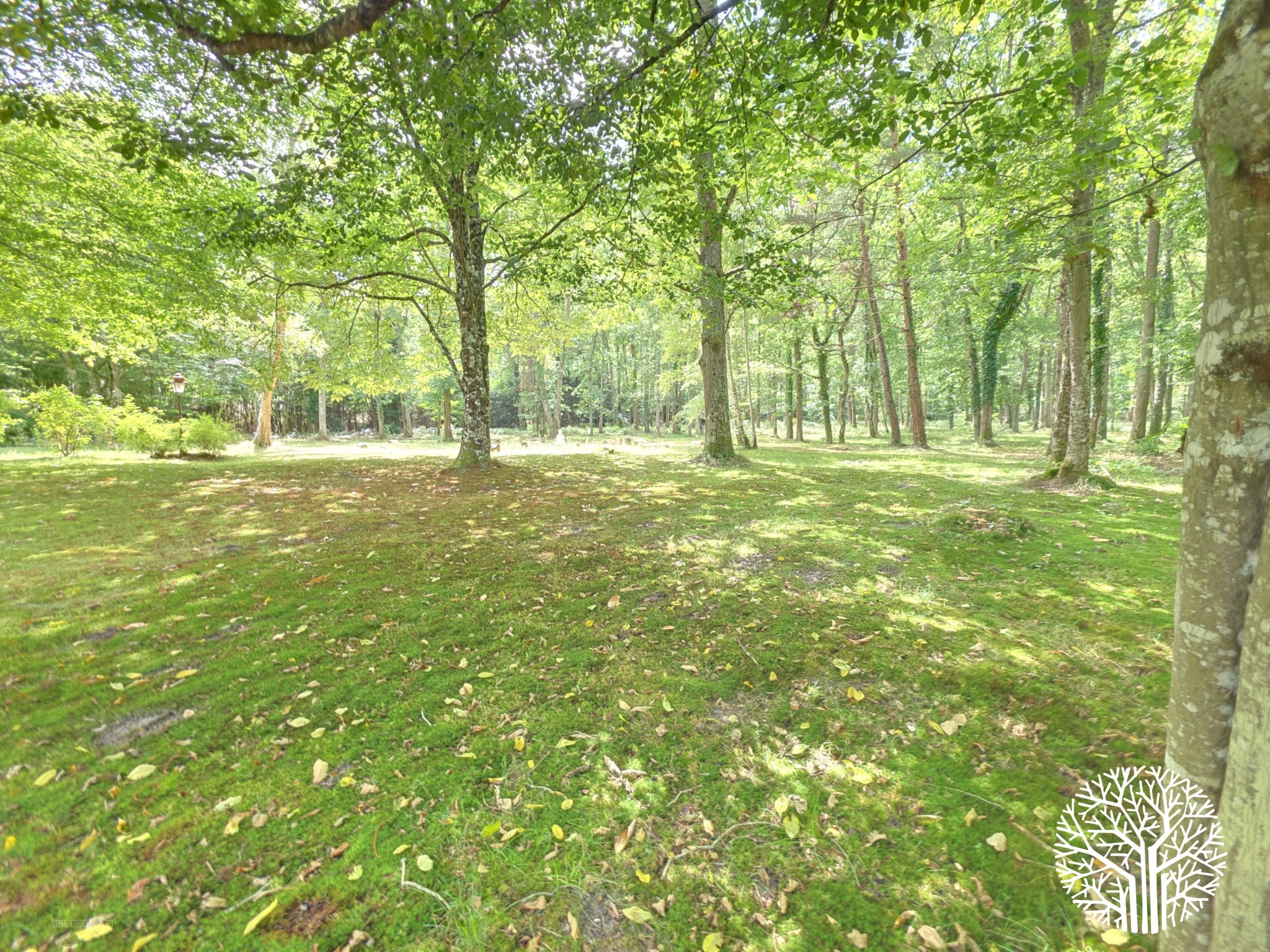 Maison à vendre à Noisy sur ecole, 23,5 m², 10 pièces – photo 2 sur 14
