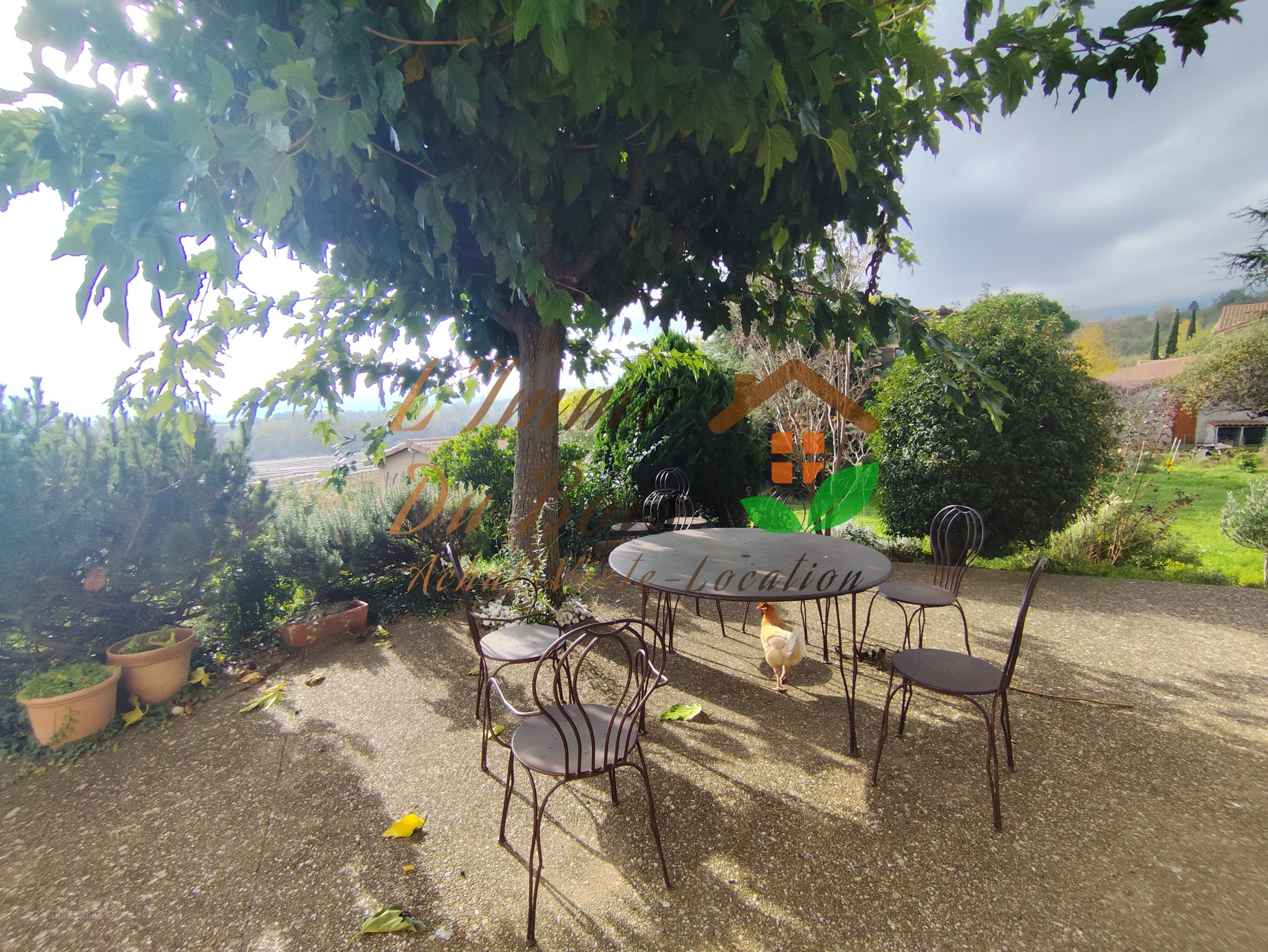 Maison avec jardin, piscine et sous-sol complet — photo 4