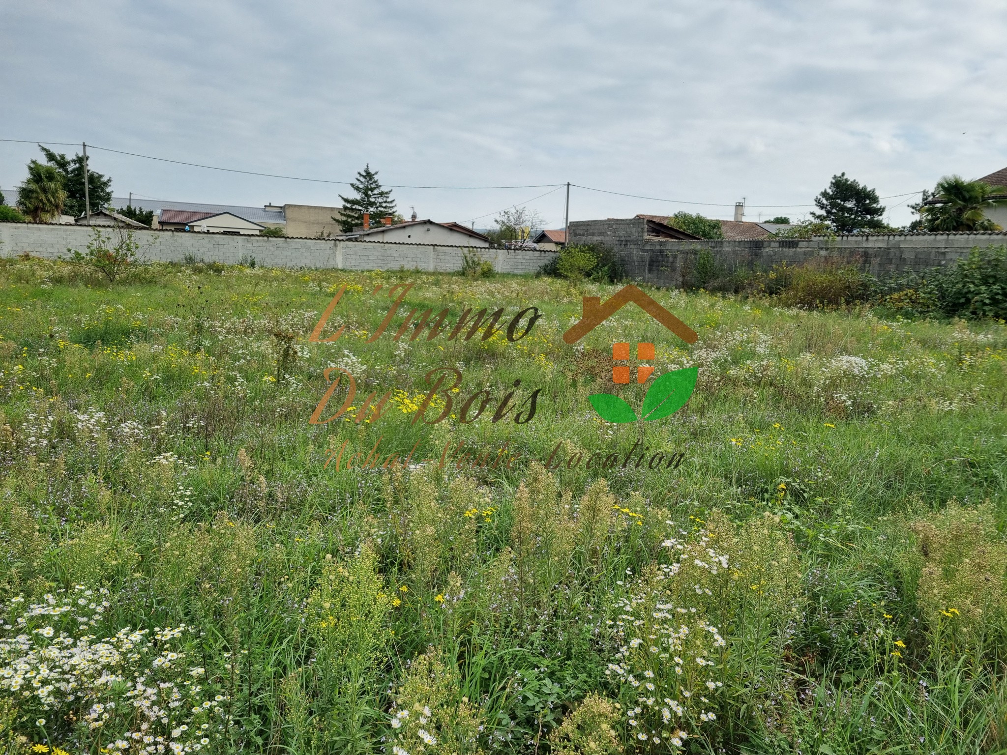 Bien immobilier à vendre à Albon, 1 000 m² – photo 2 sur 2