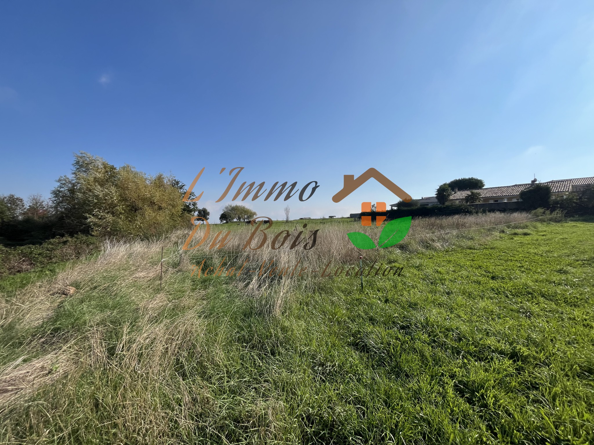 Bien immobilier à vendre à Charnas, 2 441 m² – photo 2 sur 2