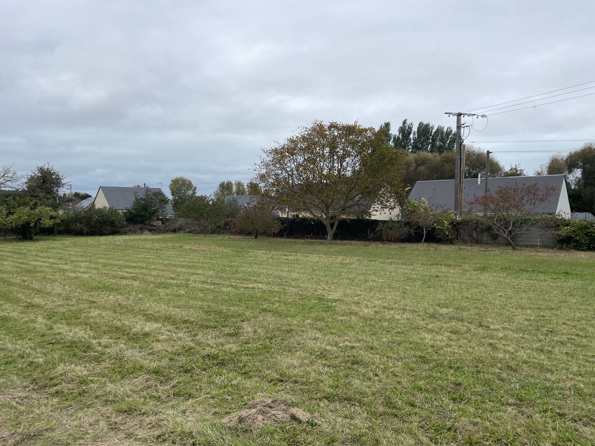 Bien immobilier à vendre à Tourneville-sur-mer, 548 m² – photo 2 sur 3