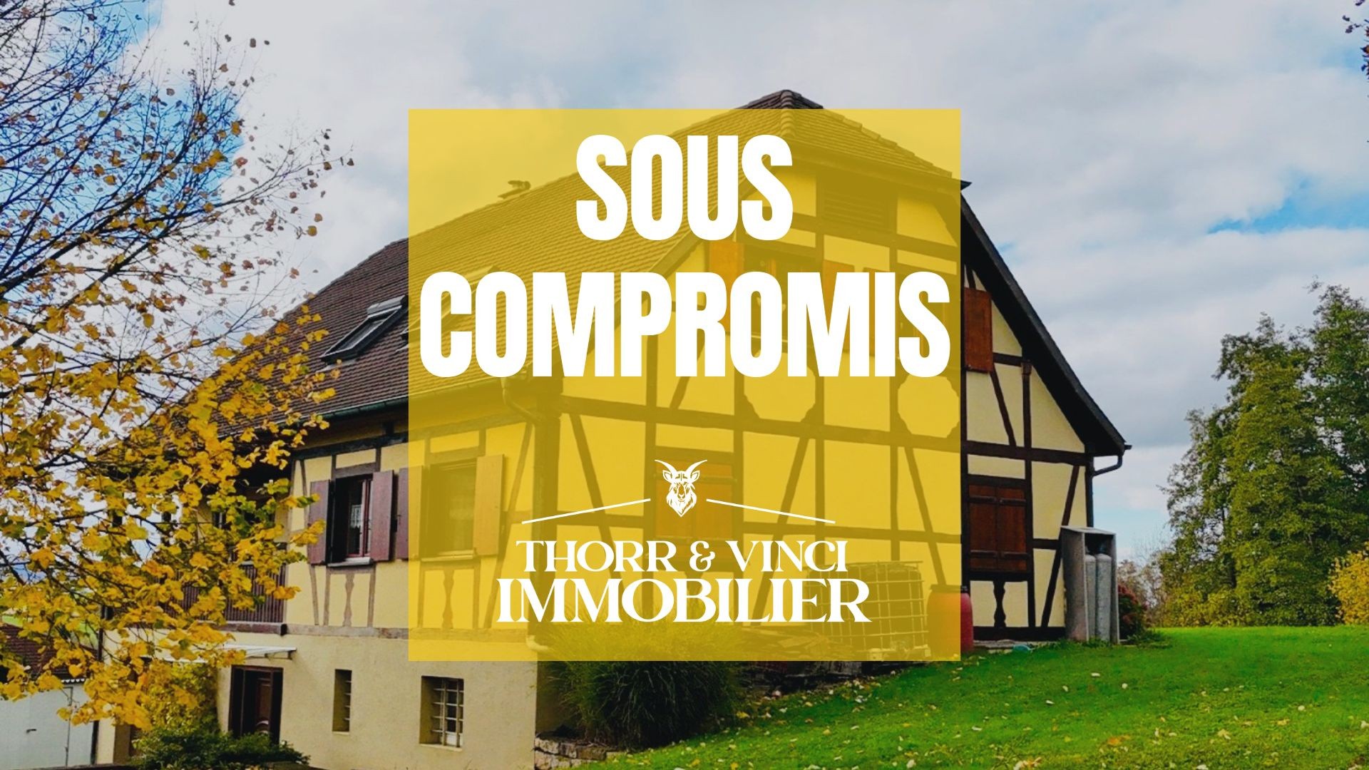 Maison à vendre à Muespach, 176 m², 5 pièces – photo 1 sur 16