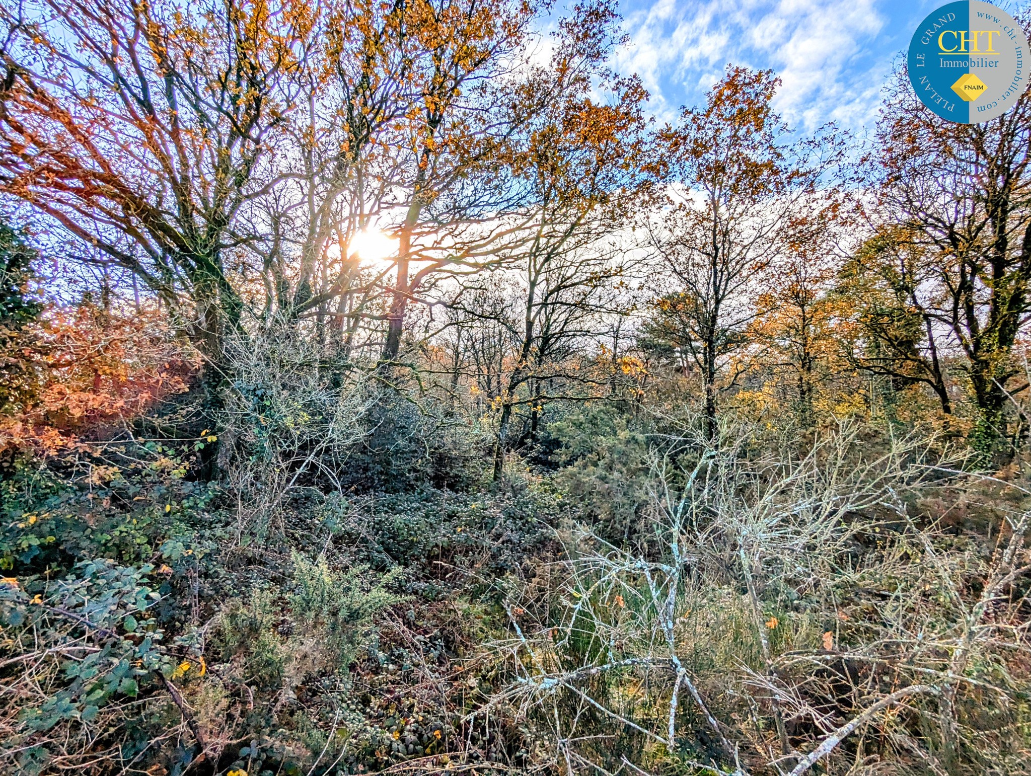 Terrain à vendre à Monteneuf, 1 716 m² – photo 3 sur 11