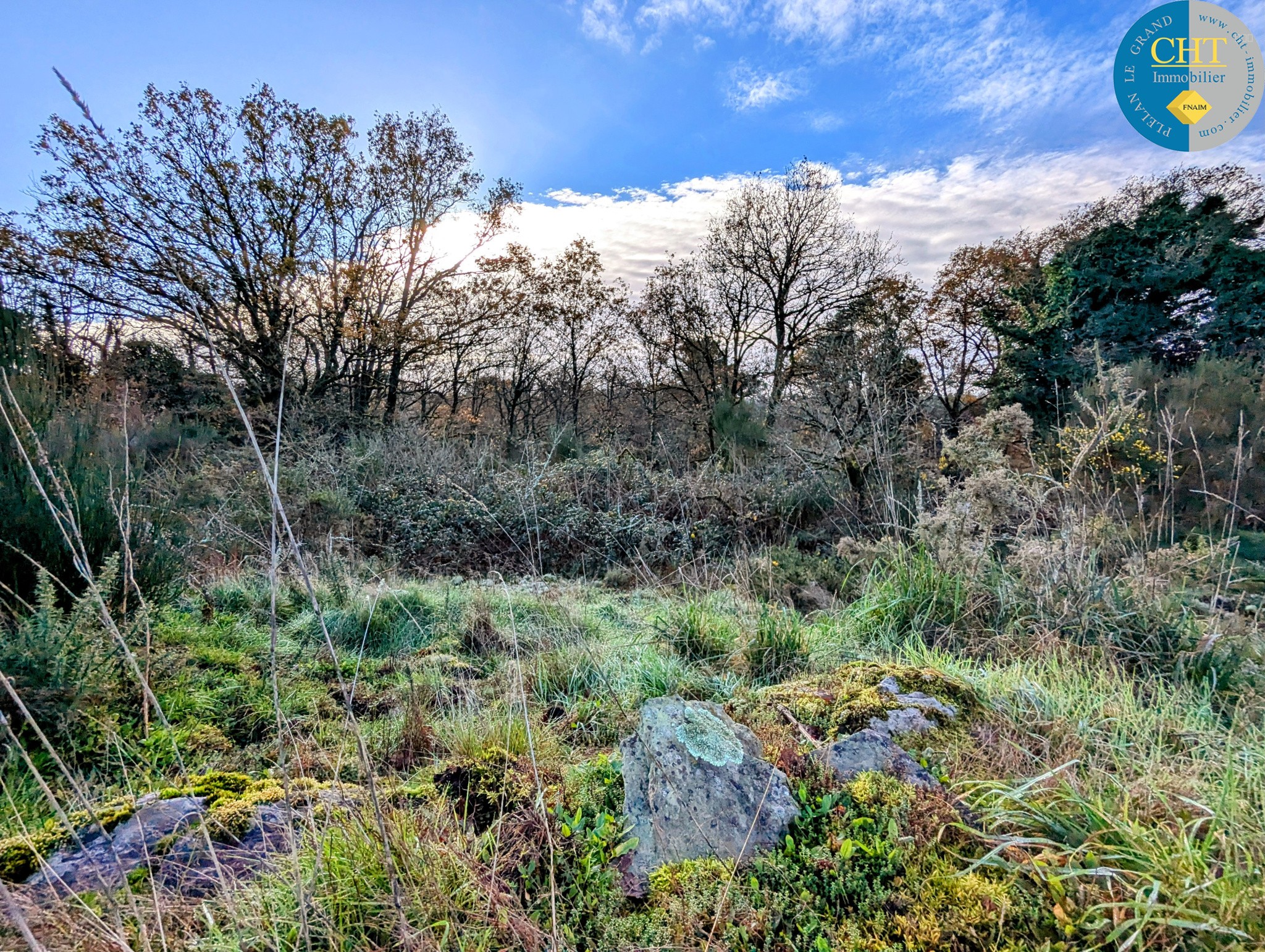 Terrain à vendre à Monteneuf, 1 716 m² – photo 1 sur 11