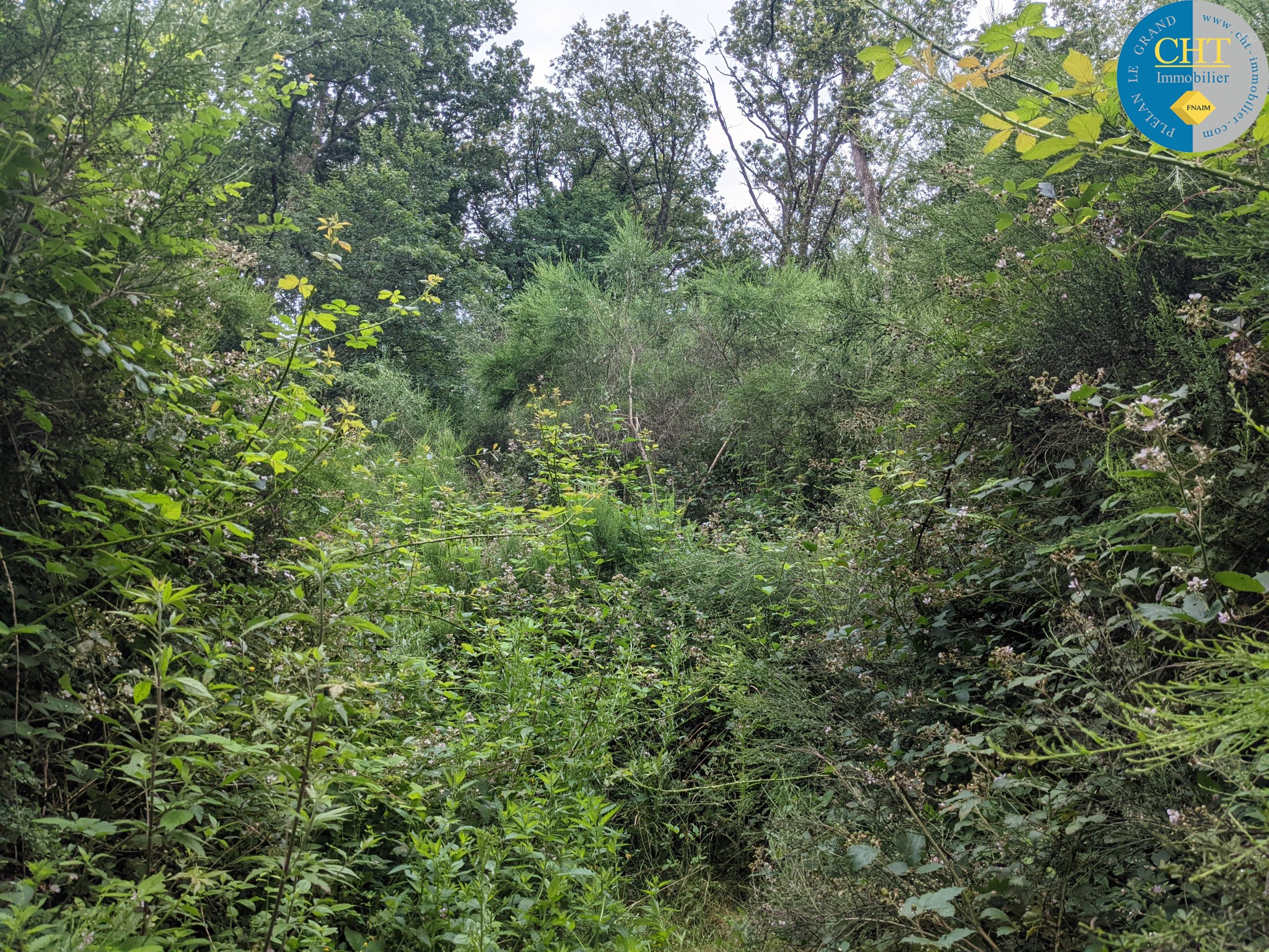Terrain à vendre à Loutehel, 5 035 m² – photo 3 sur 6