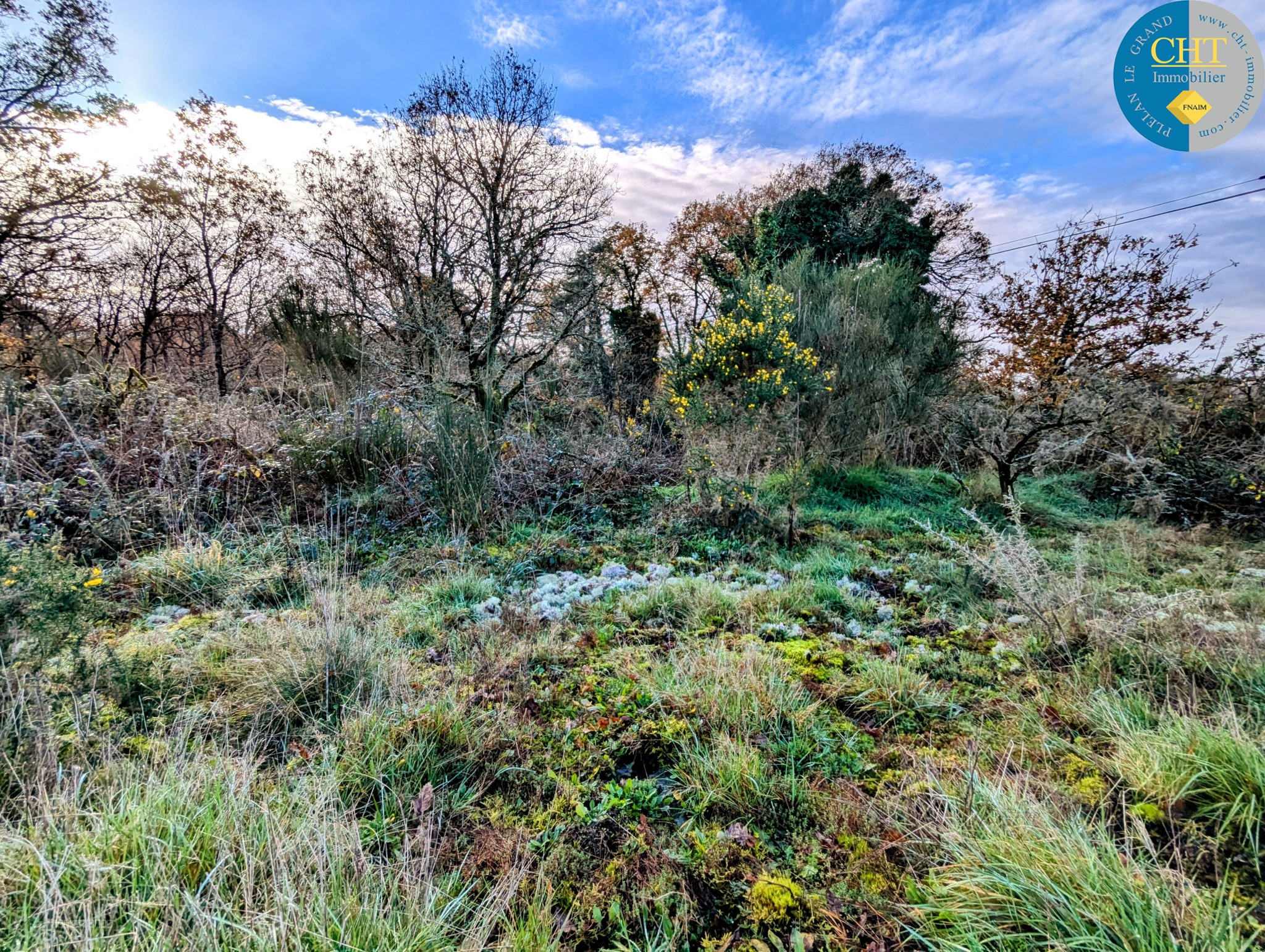 Terrain à vendre à Monteneuf, 1 716 m² – photo 2 sur 11