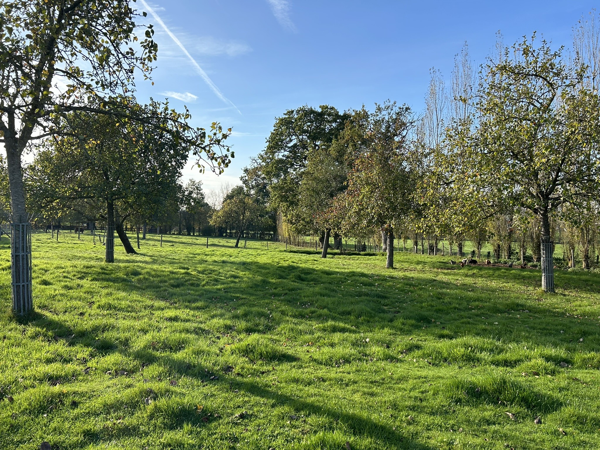 Bien immobilier à vendre à Vire, 1 000 m² – photo 1 sur 3