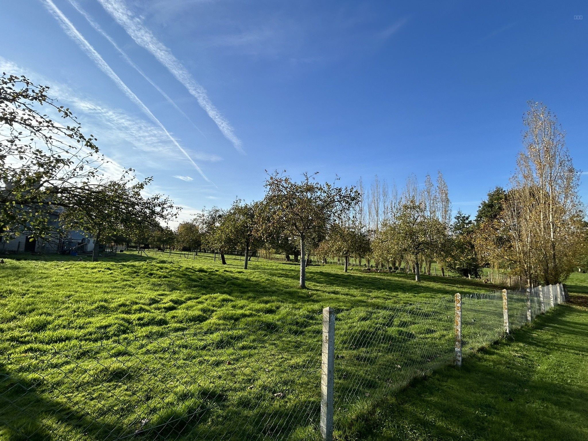 Bien immobilier à vendre à Vire, 1 000 m² – photo 3 sur 3