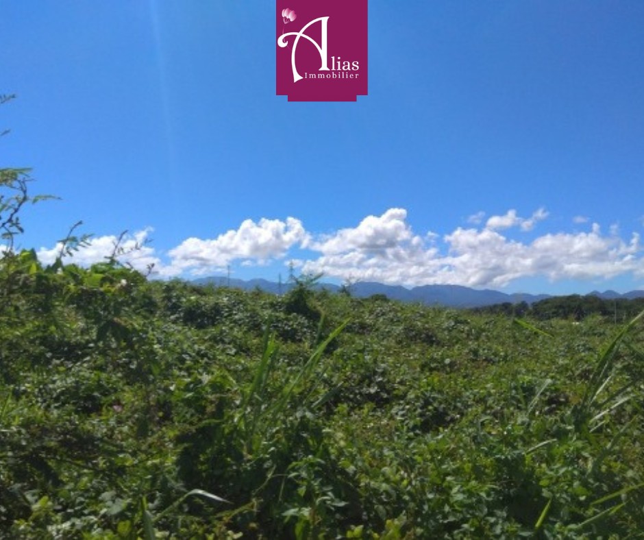 Bien immobilier à louer à Baie mahault, 2 000 m² – photo 1 sur 1