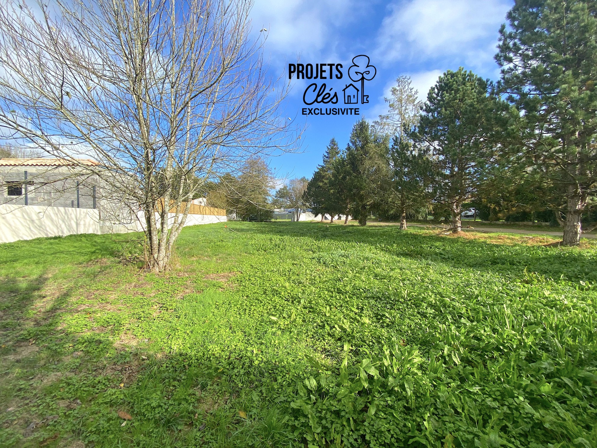 Bien immobilier à vendre à Landeronde, 348 m² – photo 2 sur 10