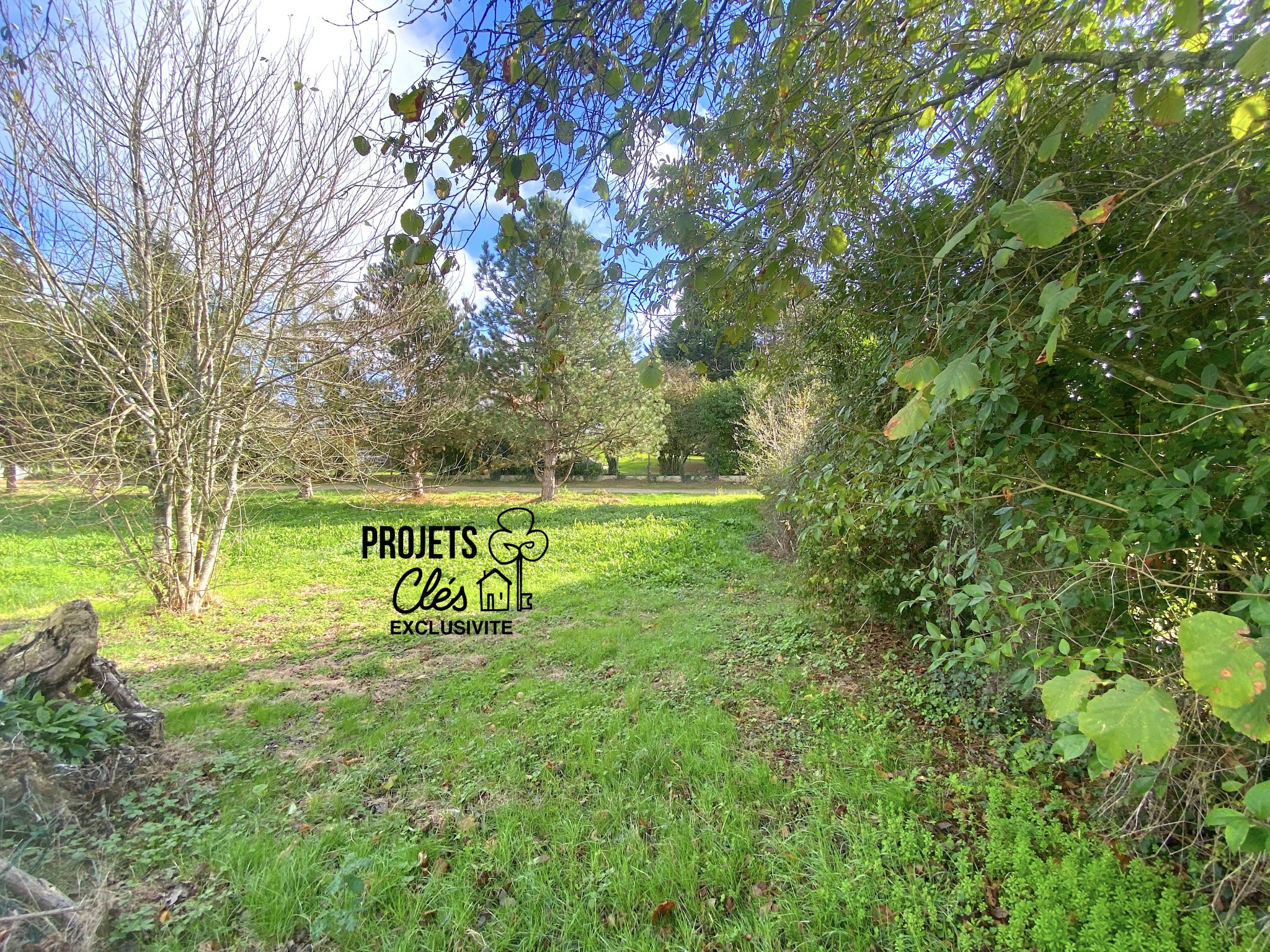 Bien immobilier à vendre à Landeronde, 348 m² – photo 1 sur 10